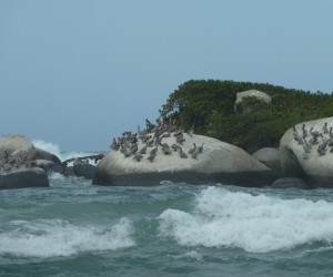 PNN Tayrona Fuente UFF.Travel2