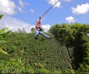 Canopy the Caracolíes Source: panamericanaweb pandac com1